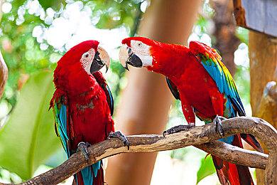 IGN调查：超一半玩家认为“黄金树幽影”难度刚好